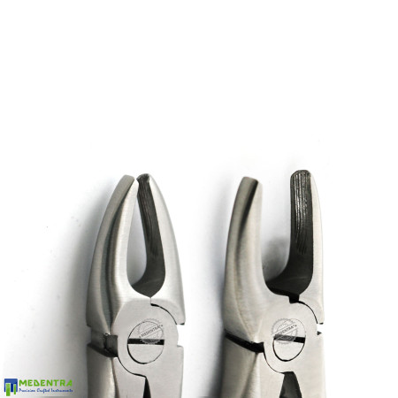 Children Extraction Forceps Fig-1