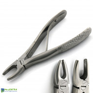 Children Extraction Forceps Fig-1