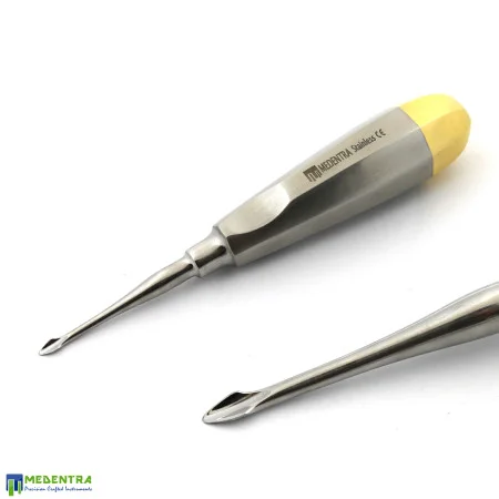 4Pcs Dental Luxating Root Elevators